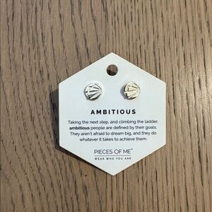 NWT sterling silver plated earrings